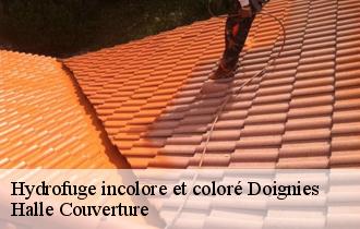 Hydrofuge incolore et coloré 62147