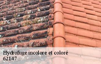 Hydrofuge incolore et coloré