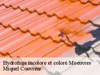 Hydrofuge incolore et coloré  moeuvres-62147 Miquel Couvreur