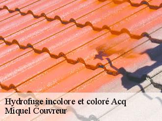 Hydrofuge incolore et coloré  acq-62144 Miquel Couvreur