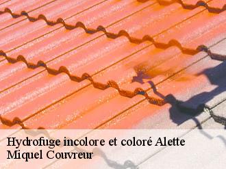 Hydrofuge incolore et coloré  alette-62650 Miquel Couvreur