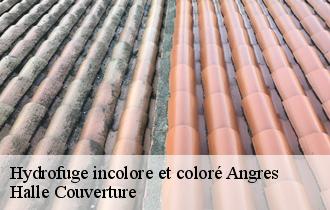 Hydrofuge incolore et coloré angres-62143 Halle Couverture