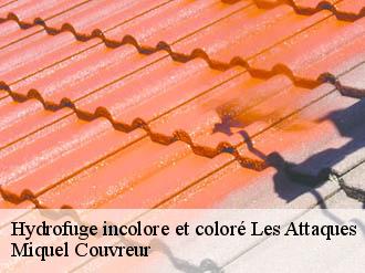 Hydrofuge incolore et coloré  les-attaques-62730 Miquel Couvreur