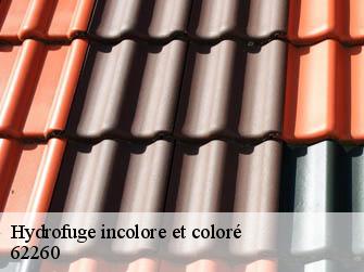 Hydrofuge incolore et coloré  62260