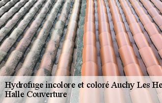 Hydrofuge incolore et coloré auchy-les-hesdin-62770 Halle Couverture