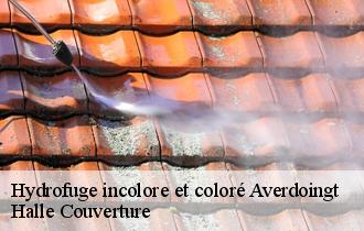 Hydrofuge incolore et coloré