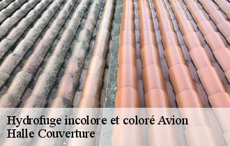 Hydrofuge incolore et coloré avion-62210 Halle Couverture