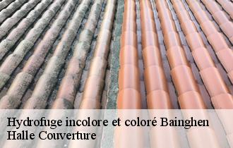 Hydrofuge incolore et coloré bainghen-62850 Halle Couverture