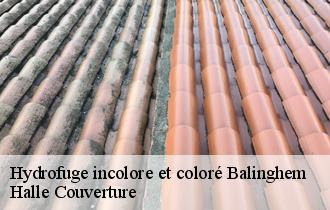 Hydrofuge incolore et coloré balinghem-62610 Halle Couverture