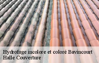 Hydrofuge incolore et coloré bavincourt-62158 Halle Couverture