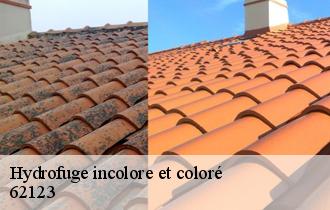 Hydrofuge incolore et coloré 62123
