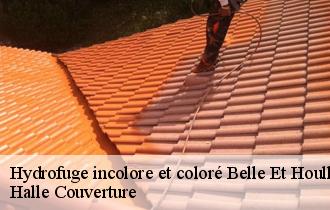 Hydrofuge incolore et coloré 62142