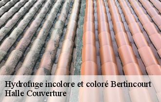Hydrofuge incolore et coloré bertincourt-62124 Halle Couverture