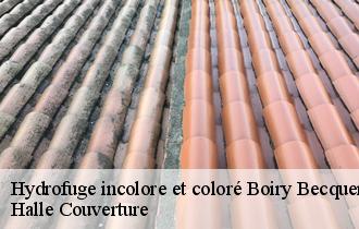 Hydrofuge incolore et coloré boiry-becquerelle-62128 Halle Couverture