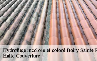 Hydrofuge incolore et coloré  boiry-sainte-rictrude-62175 Halle Couverture
