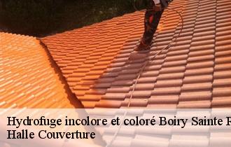 Hydrofuge incolore et coloré  62175