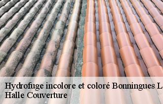 Hydrofuge incolore et coloré  bonningues-les-calais-62340 Halle Couverture