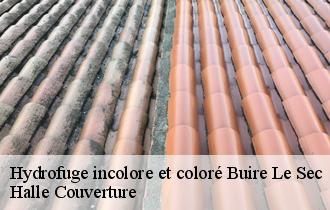 Hydrofuge incolore et coloré buire-le-sec-62870 Halle Couverture