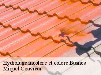 Hydrofuge incolore et coloré  busnes-62350 Miquel Couvreur