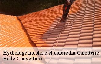 Hydrofuge incolore et coloré  62170
