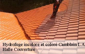 Hydrofuge incolore et coloré 62690