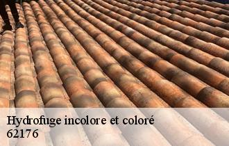 Hydrofuge incolore et coloré 62176