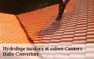 Hydrofuge incolore et coloré 62176