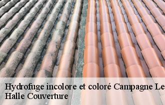 Hydrofuge incolore et coloré  campagne-les-hesdin-62870 Halle Couverture
