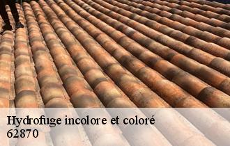 Hydrofuge incolore et coloré  62870