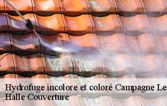 Hydrofuge incolore et coloré
