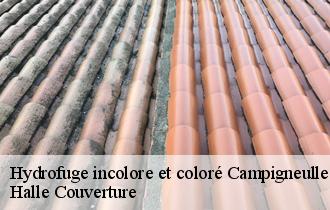 Hydrofuge incolore et coloré campigneulles-les-grandes-62170 Halle Couverture