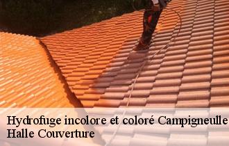 Hydrofuge incolore et coloré 62170