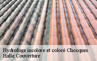 Hydrofuge incolore et coloré chocques-62920 Halle Couverture