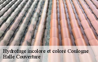 Hydrofuge incolore et coloré coulogne-62137 Halle Couverture