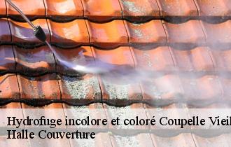 Hydrofuge incolore et coloré