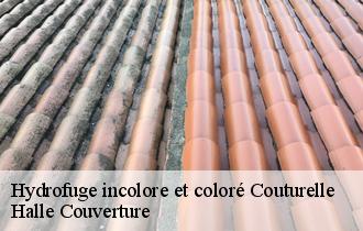 Hydrofuge incolore et coloré couturelle-62158 Halle Couverture
