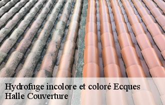 Hydrofuge incolore et coloré  ecques-62129 Halle Couverture