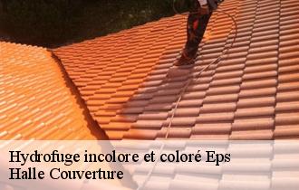 Hydrofuge incolore et coloré 62134