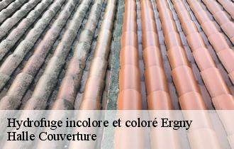 Hydrofuge incolore et coloré  ergny-62650 Halle Couverture