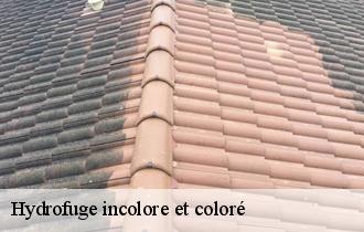 Hydrofuge incolore et coloré
