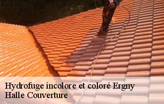 Hydrofuge incolore et coloré  62650