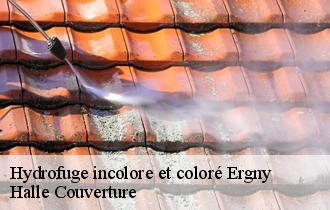 Hydrofuge incolore et coloré
