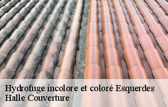 Hydrofuge incolore et coloré esquerdes-62380 Halle Couverture