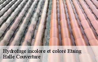 Hydrofuge incolore et coloré  etaing-62156 Halle Couverture