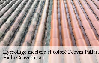Hydrofuge incolore et coloré febvin-palfart-62960 Halle Couverture