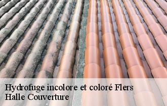 Hydrofuge incolore et coloré  flers-62270 Halle Couverture