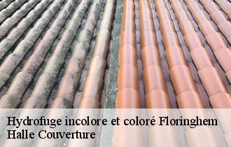 Hydrofuge incolore et coloré floringhem-62550 Halle Couverture