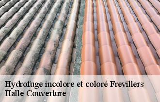Hydrofuge incolore et coloré  frevillers-62127 Halle Couverture