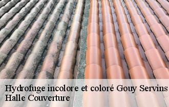 Hydrofuge incolore et coloré gouy-servins-62530 Halle Couverture