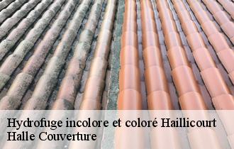 Hydrofuge incolore et coloré  haillicourt-62940 Halle Couverture